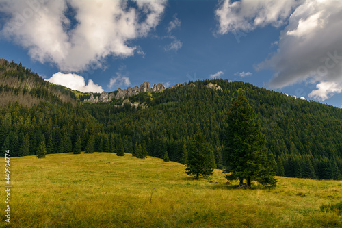 góry Tatry, dolina Chochołowska