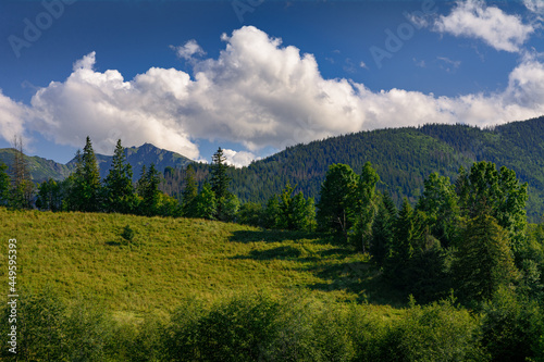 Fototapeta Naklejka Na Ścianę i Meble -  krajobraz górski w Tatrach
