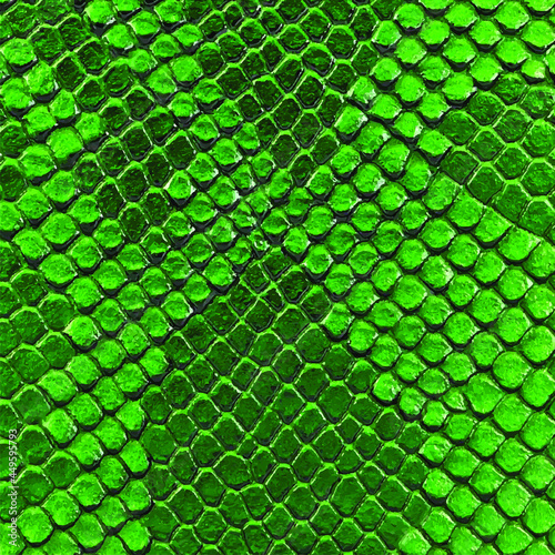 Green snake skin texture. Reptile and serpent scales surface. Graphic resource and background. Vector illustration.