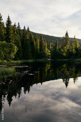 Høvern-Fløyta Lake in the forests of Northern Hurdal, Norway. © Øyvind