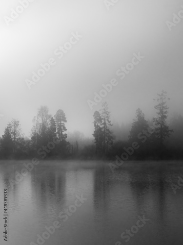Misty Pond