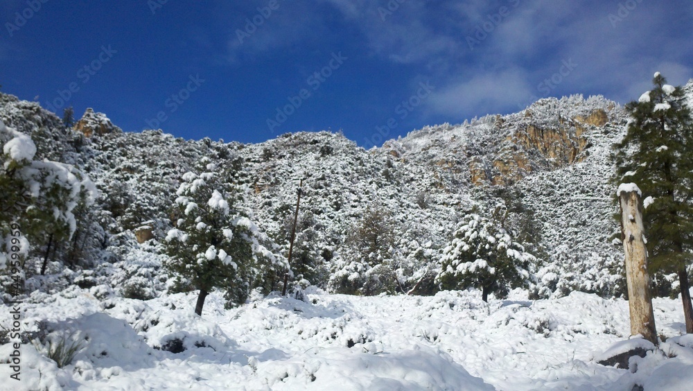 Snow Hike at Oak Creek Canyon - Sedona