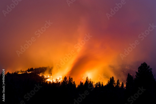Fire in a heavily wooded area. 