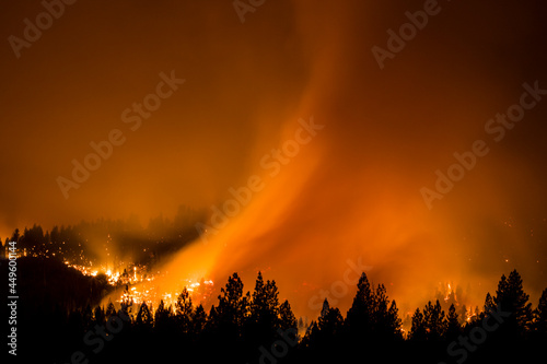 Fire in a heavily wooded area. 
