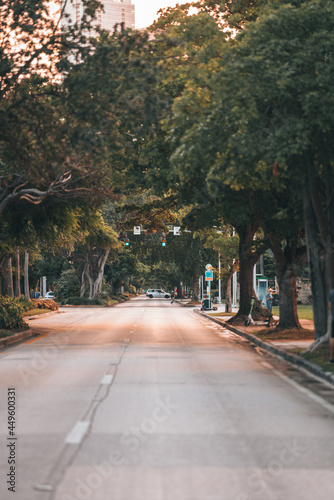 street in the city road avenue Brickell Miami Florida tree park 