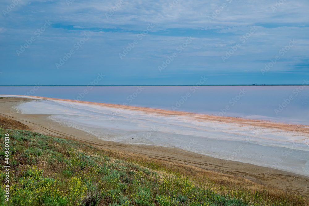 Lake Koyashskoye. Pink-orange lake, you can see the coastline with a salt crust