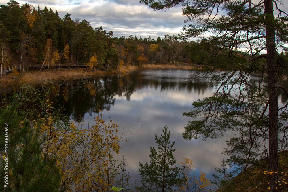 Fototapeta premium Lake and autumn forest at sunset