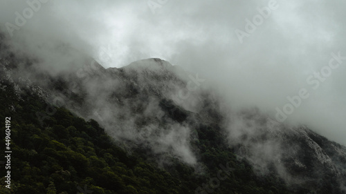 Fog in a big mountain in a cloudy day