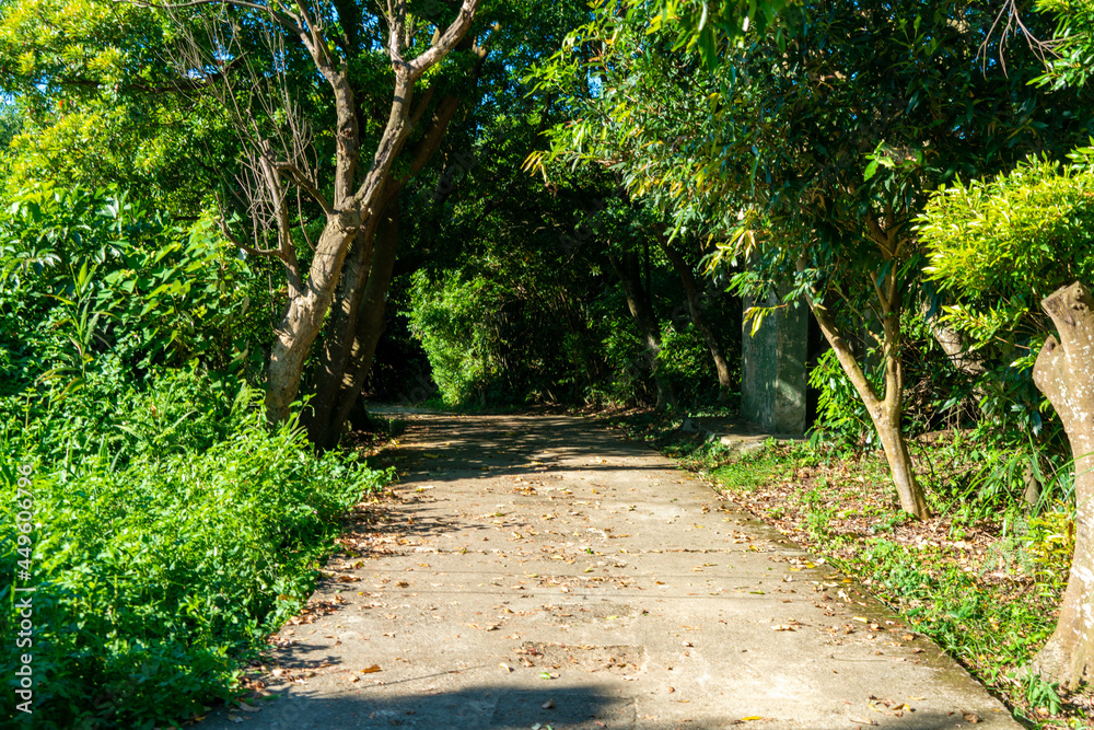 台湾の観光名所を巡っている風景 Scenes from a tour of Taiwan's tourist attractions. 台湾の観光名所を巡っている風景 Scenes from a tour of Taiwan's tourist attractions.