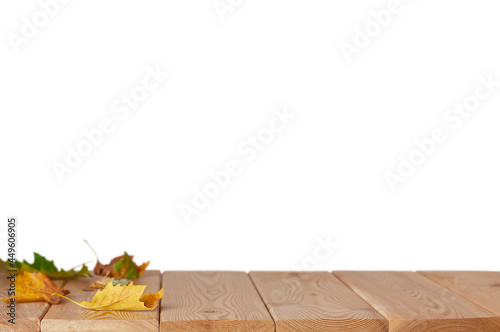isolated maple leaves on the wood floor in the white background with copy space