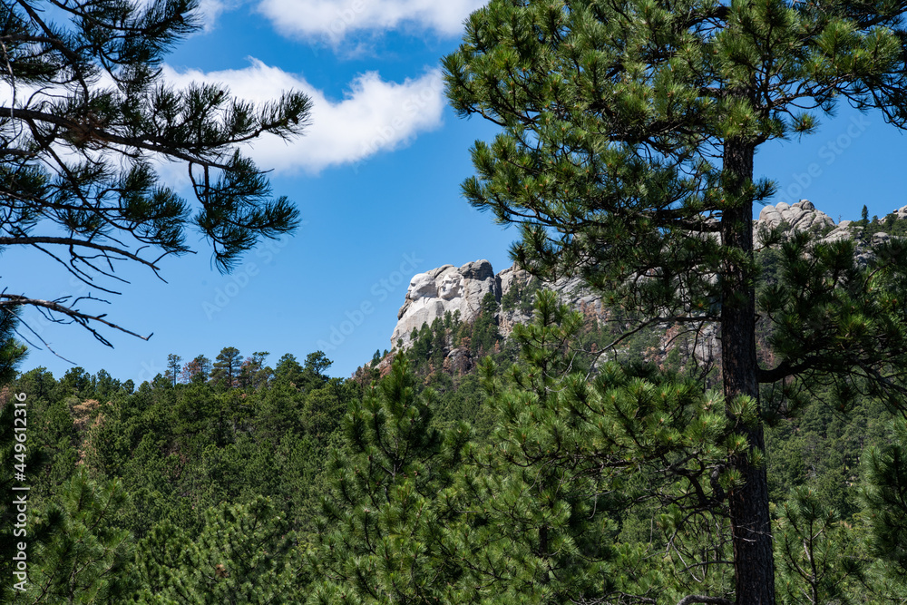 Mount Rushmore side profile