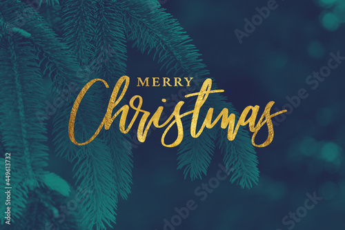 Gold Merry Christmas Christmas Calligraphy Script with Tree Evergreen Background