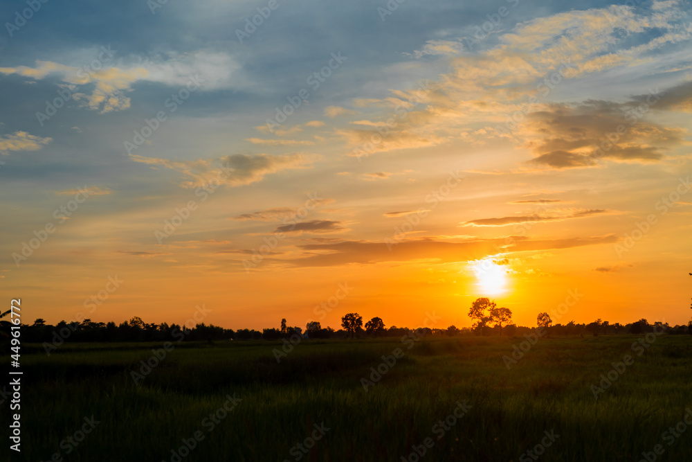 The beauty of the rice fields at sunset