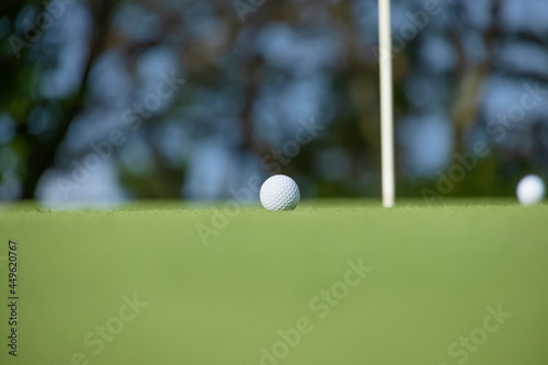 綺麗に手入れされたゴルフ場のグリーンと真っ白なゴルフボール