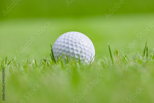 新緑が綺麗なゴルフ場と真っ白なボール