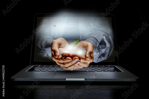Plant in hands above keyboard photo