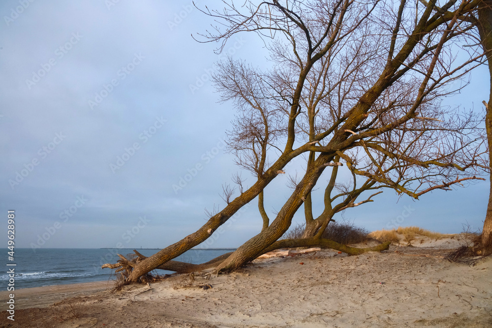 View of the Baltic Sea coast at the winter time