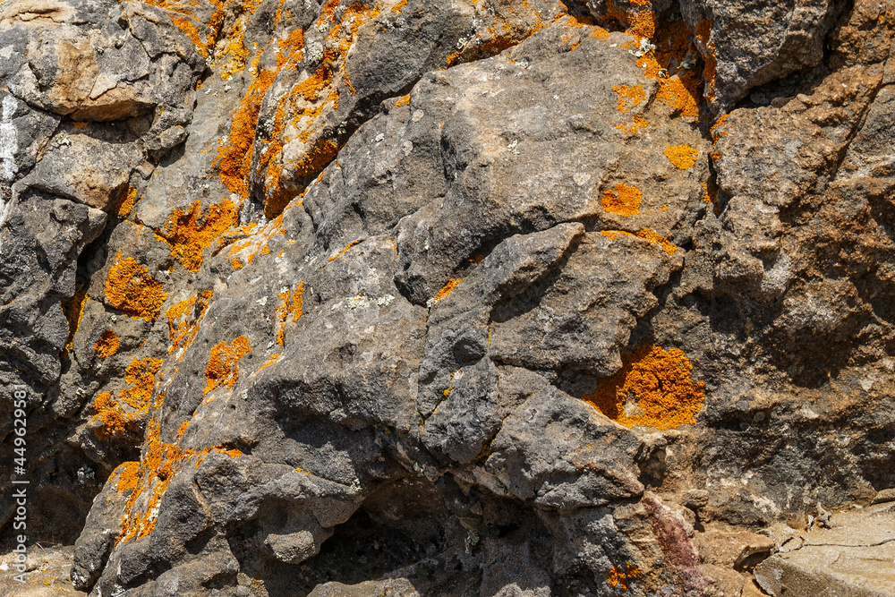 View of the stone surface details covered lichens in sunny day. View of the stone surface details covered lichens in sunny day.
