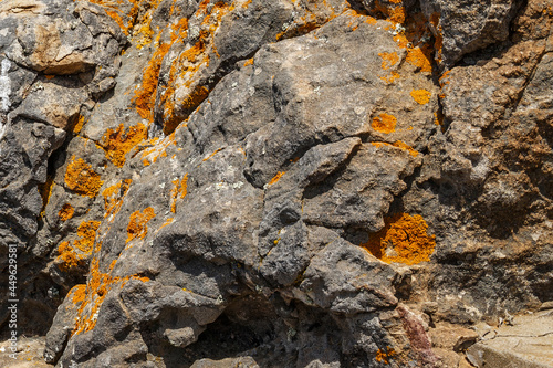 View of the stone surface details covered lichens in sunny day.