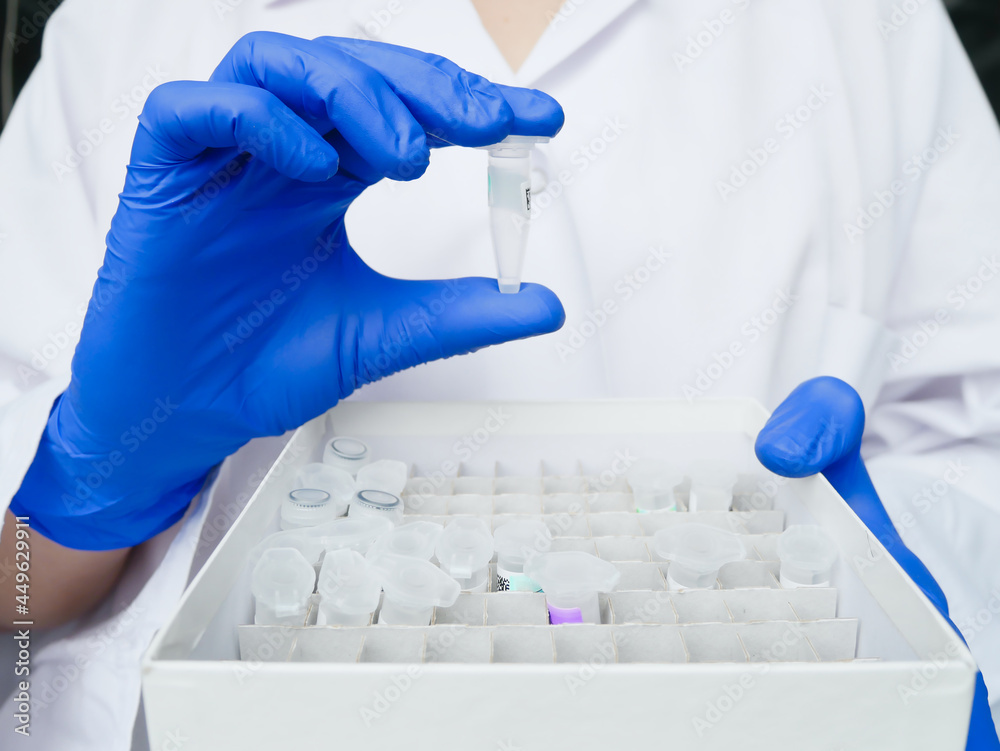 hands of scientist holds test tube with DNA patient sample. research technician with test sample box in genetic laboratory. genetic and cancer screening, medical technology and therapy.