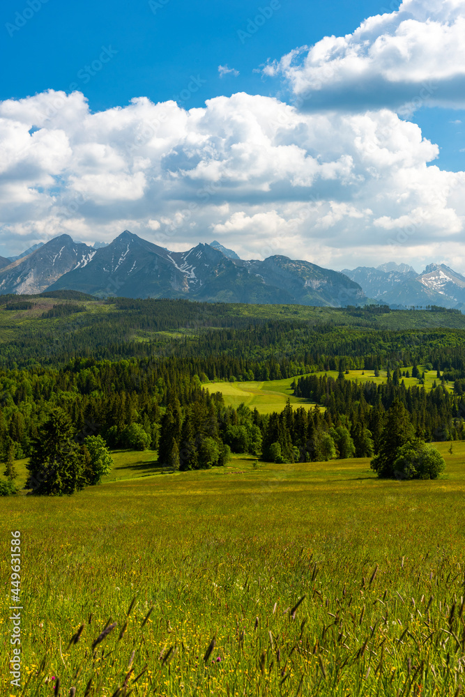 Summer View on Tatra Mountains and Meadows