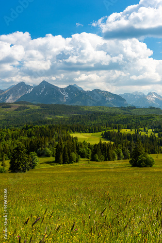 Summer View on Tatra Mountains and Meadows