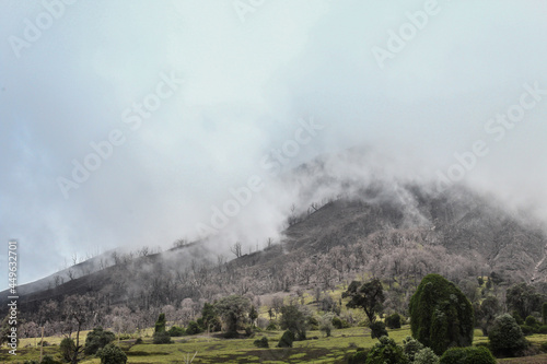Close-up of the forest burned by gases and sulfur around the Volcanic cone in the danger zone in the middle of a green and cloudy landscape in Turrialba Volcano National Park in Cartago Costa Rica