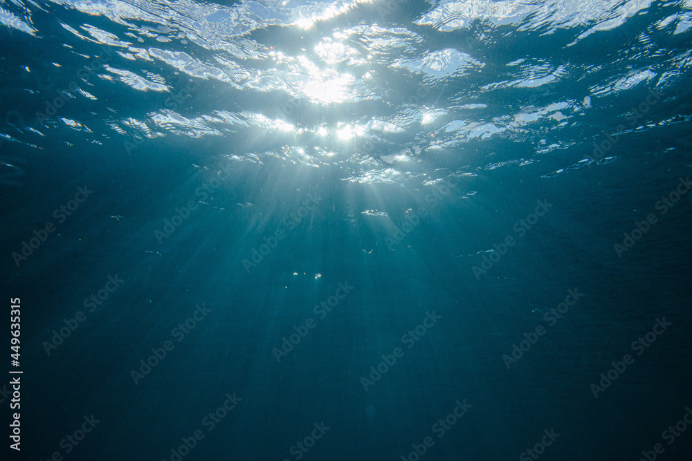 Fototapeta premium Ray of Light