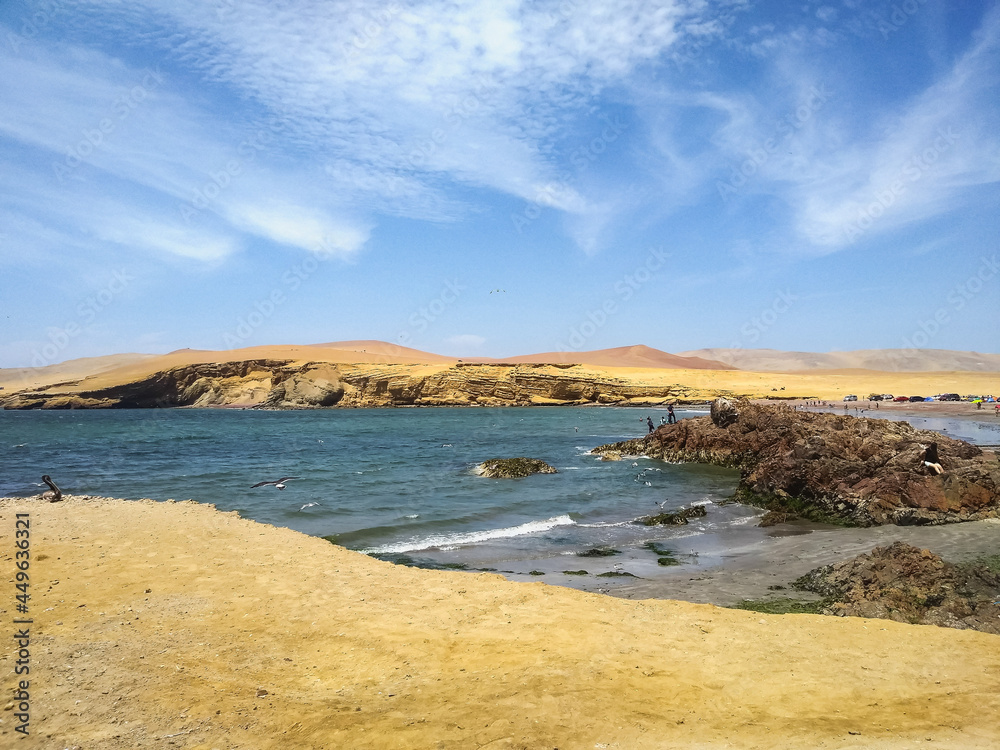 view of the coast of the sea in the reserve of Paracas-Perú 