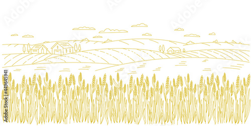 Wheat field. Rural landscape panorama. Agriculture cereal harvest. Dry grass meadow. Contour vector line. Bread wrapper. Open paths. Editable stroke. Hand drawn sketch.