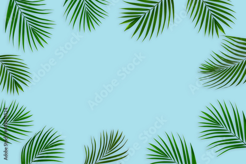 Creative layout of colorful tropical  palm leaf on pastel blue background. minimal summer exotic concept with copy space  flat lay.