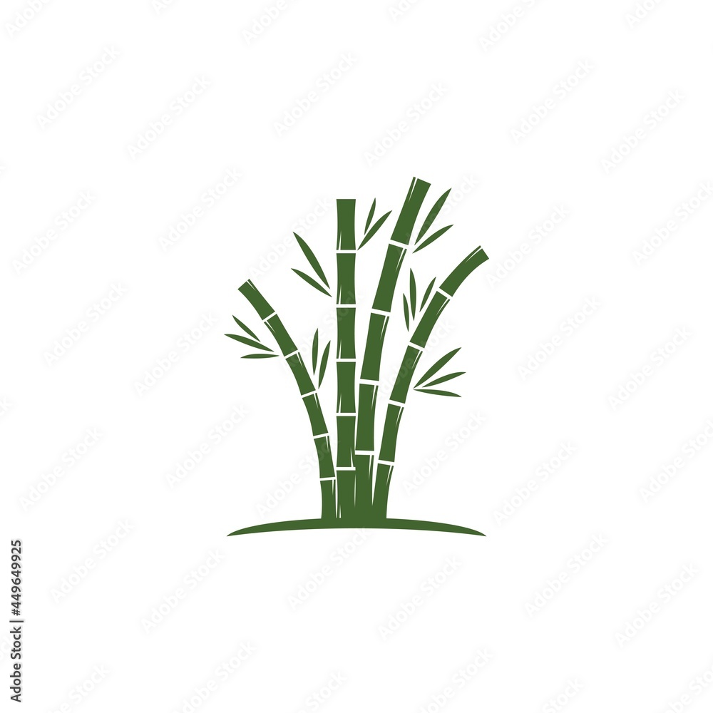 Obraz premium Bamboo with green leaf