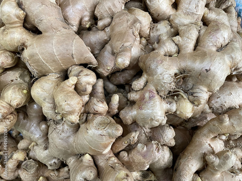 Ginger fresh organic to be used as raw materials for cooking.