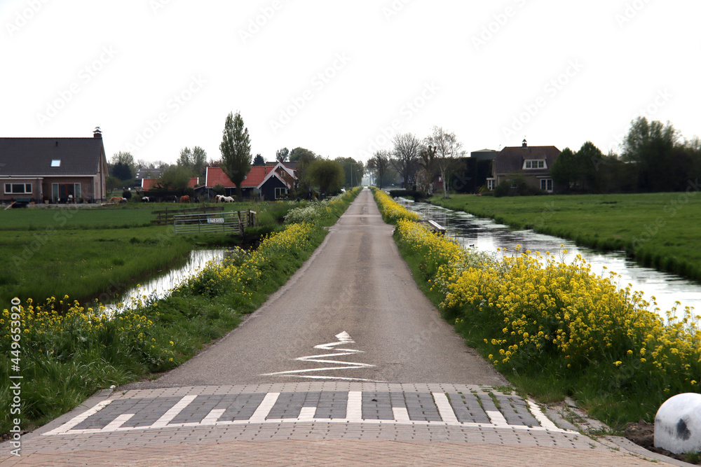 Meadows and country road in the Zuidplaspolder in the Netherlands where new village will be build called Vijfde Dorp