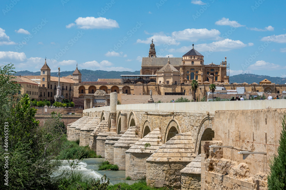 Fototapeta premium View of the Cordoba mosque next to the Roman bridge as it passes through the Guadalquivir