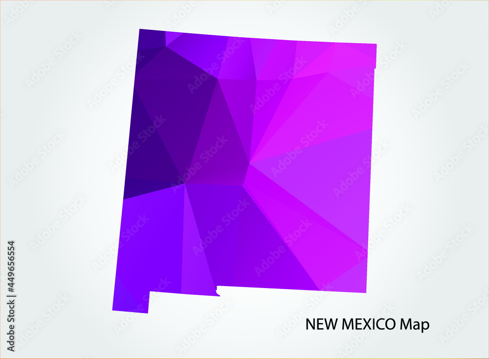 NEW MEXICO Map pink Color on white background polygonal