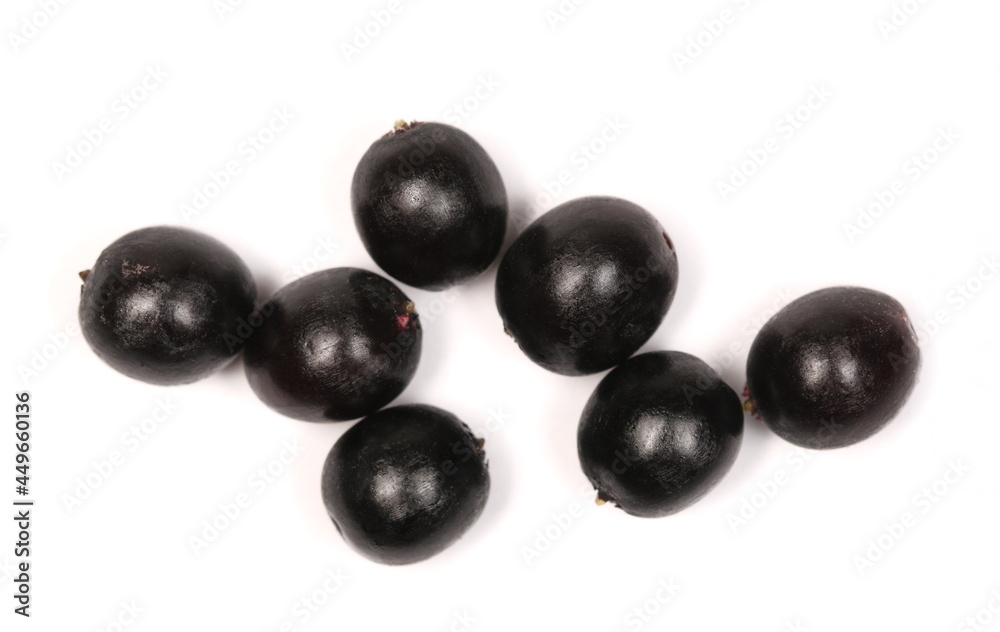 Macro Elderberries, elder berries isolated on white background, top view Macro Elderberries, elder berries isolated on white background, top view