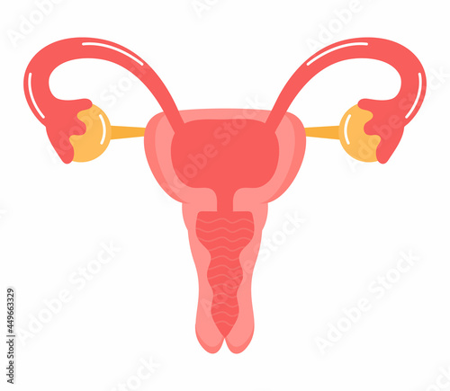 Uterus icon vector. Internal woman organ. World menopause day, endometriosis illustration.