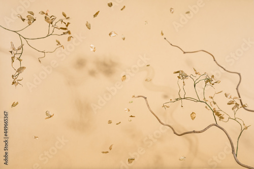 Autumn concept with dried tree branches  leaves and shadows. Minimalism  copy space.