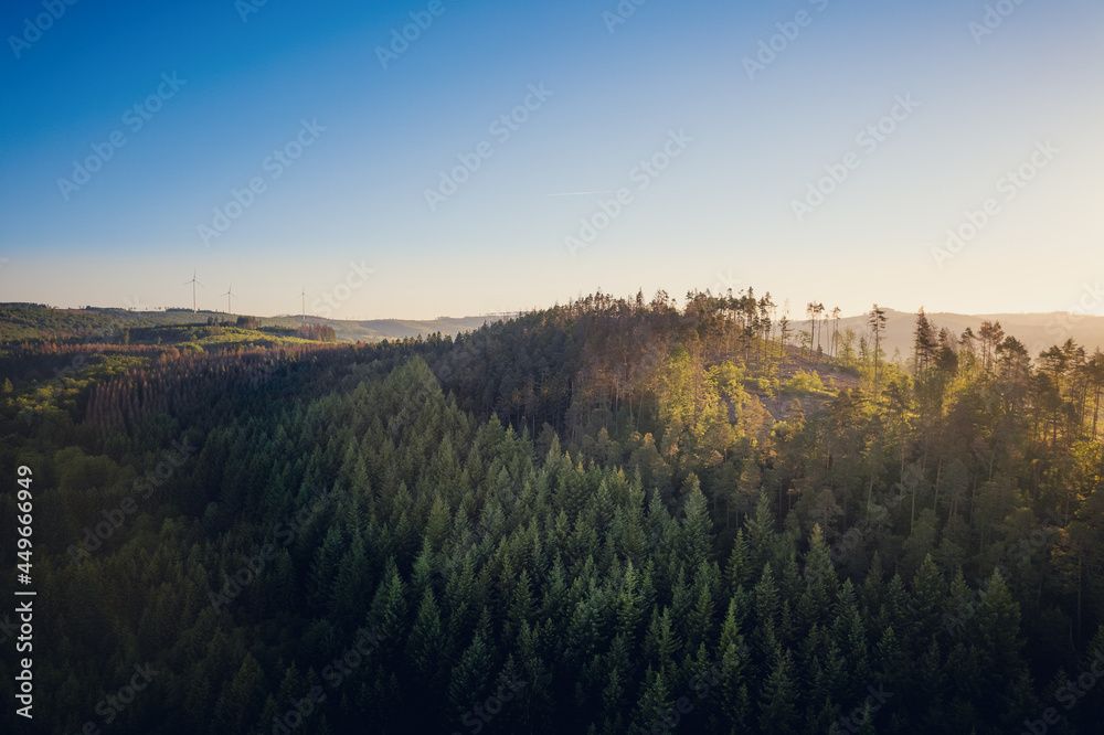 Luftaufnahme vom Siegerland, Wald, Rothaarsteig, Hessen