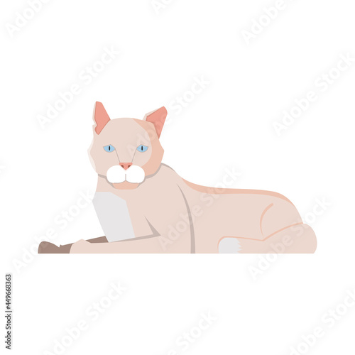 Cat Flat Illustration