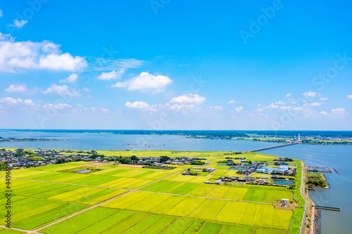 夏の霞ヶ浦と霞ヶ浦大橋（茨城県）