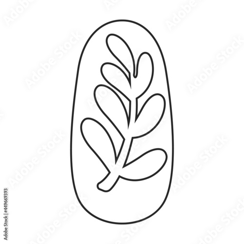 Nail of manicure vector icon.Outline vector icon isolated on white background nail of manicure.
