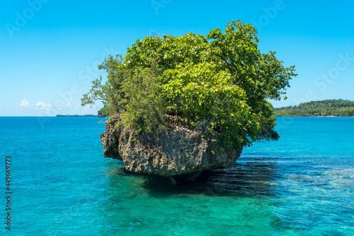 Fototapeta Naklejka Na Ścianę i Meble -  Cliffs, rocks and islets covered by shrubs and evergreen trees in front the Togian Island Batudaka in the Gulf of Tomini in Sulawesi. The Islands are a paradise for divers and snorkelers