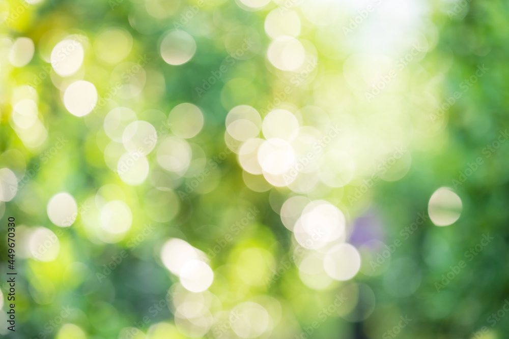 Bokeh background natural light Bokeh background natural light