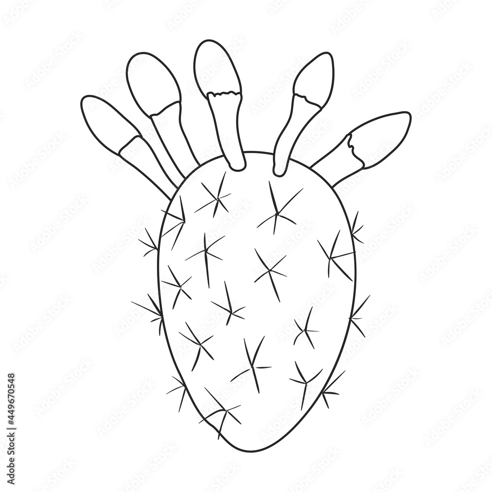 Cactus vector icon.Outline vector icon isolated on white background cactus . Cactus vector icon.Outline vector icon isolated on white background cactus .