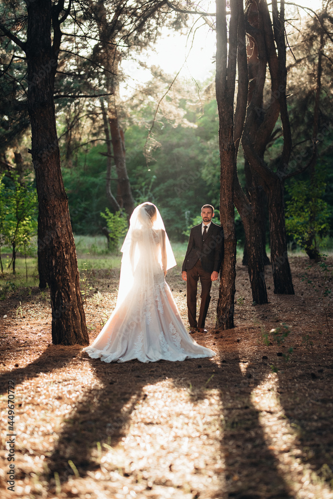 walk of the bride and groom through the autumn forest walk of the bride and groom through the autumn forest
