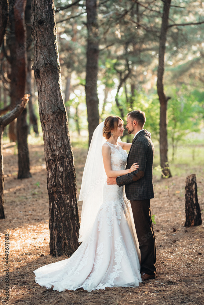 walk of the bride and groom through the autumn forest walk of the bride and groom through the autumn forest
