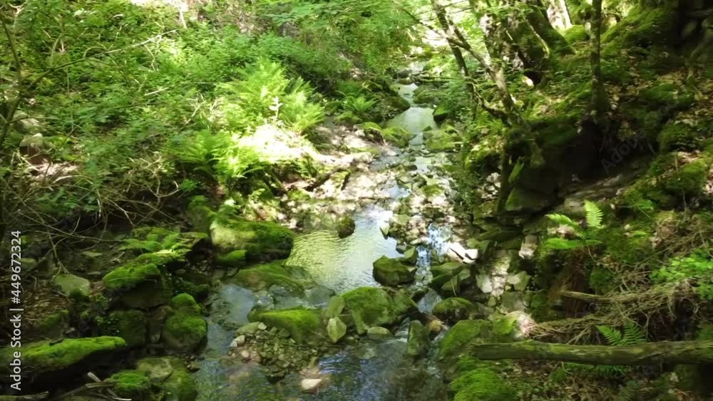 Torrente Scarzola, Monte S. Maria Tiberina, PG Torrente Scarzola, Monte S. Maria Tiberina, PG