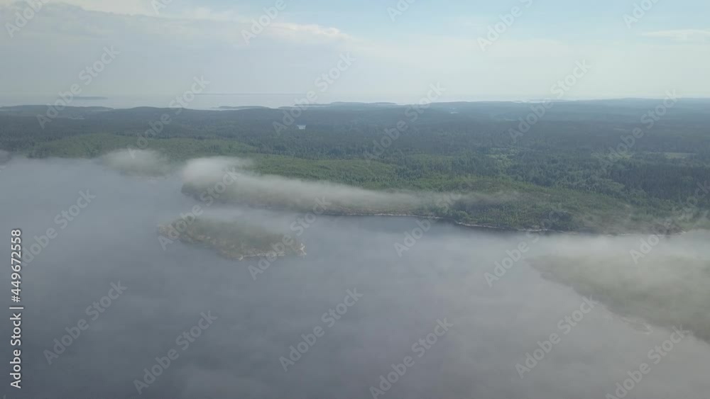 fog in the forest and lake fog in the forest and lake